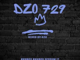 Dzo 729 - Number Number Session 17